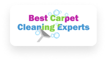 Best carpet cleaning experts logo