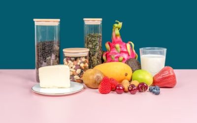 The Vitamin Station: Understanding Probiotic Supplements